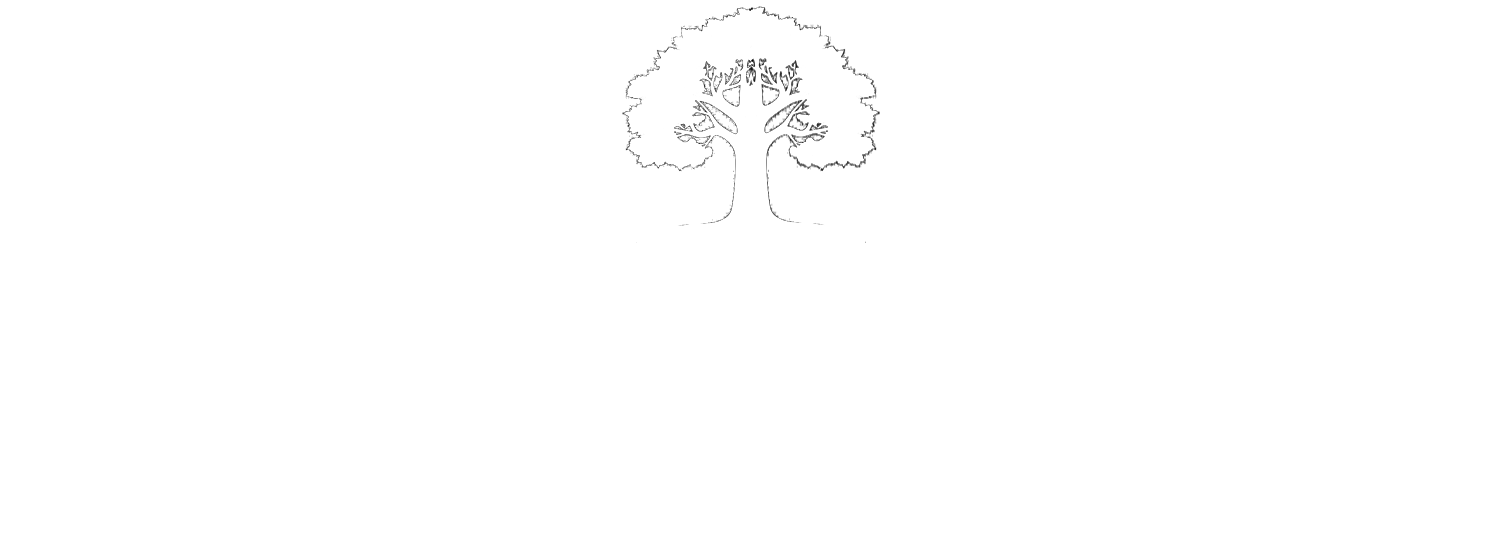 Plaza Gourmet El Álamo