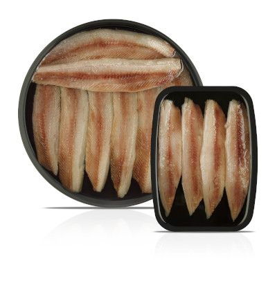 tarrinas-sardinas-conservas-artesanales-sanz